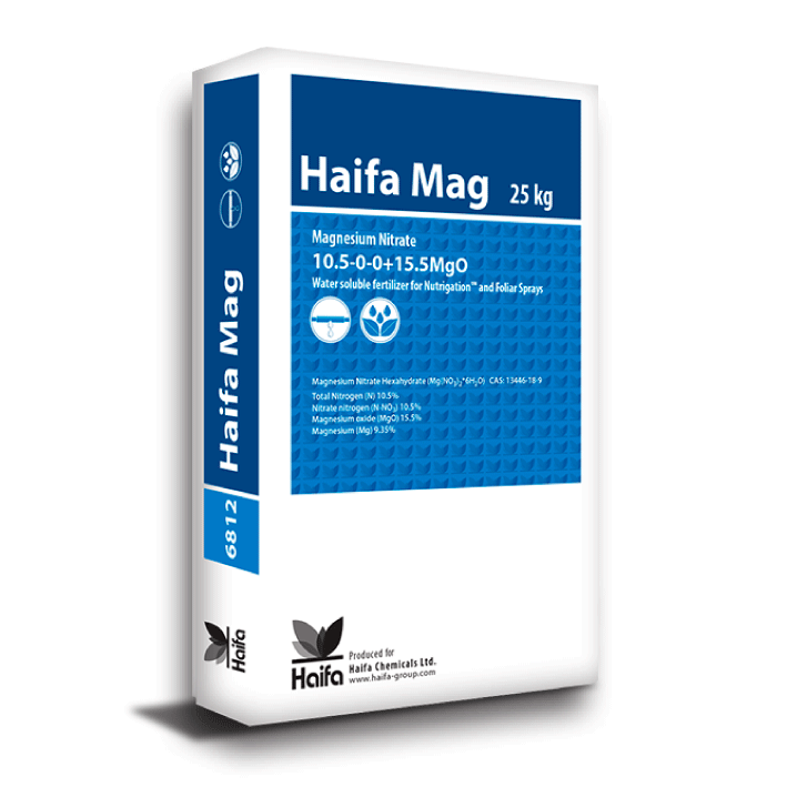 Haifa Mag