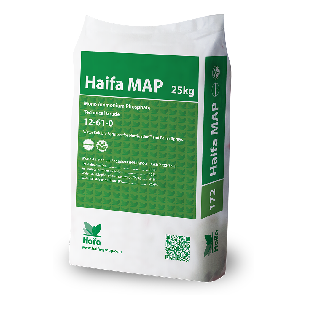 Haifa MAP
