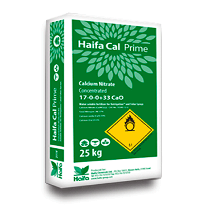 Haifa Cal Prime